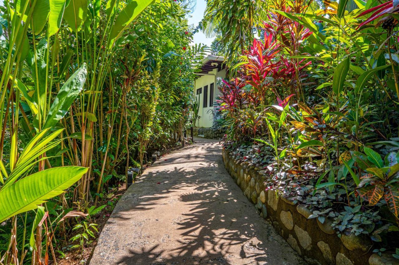 Villas En El Bosque Ойокал Екстер'єр фото