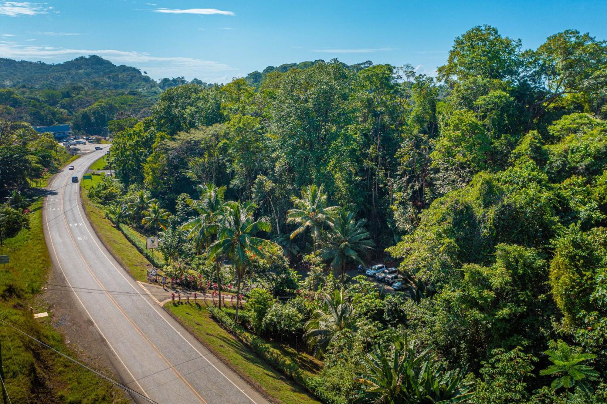 Villas En El Bosque Ойокал Екстер'єр фото