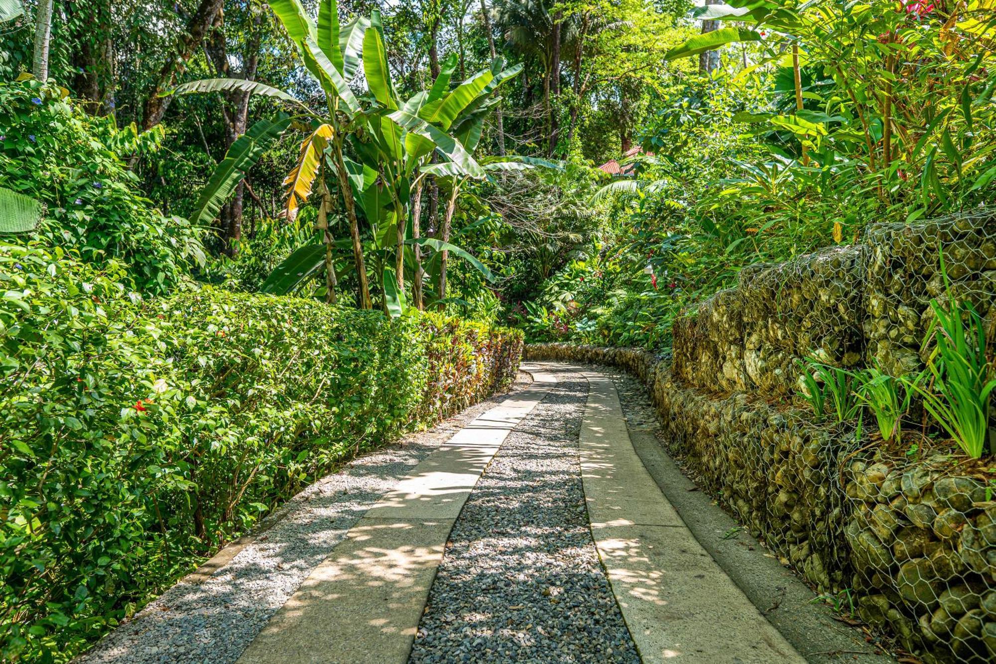Villas En El Bosque Ойокал Екстер'єр фото