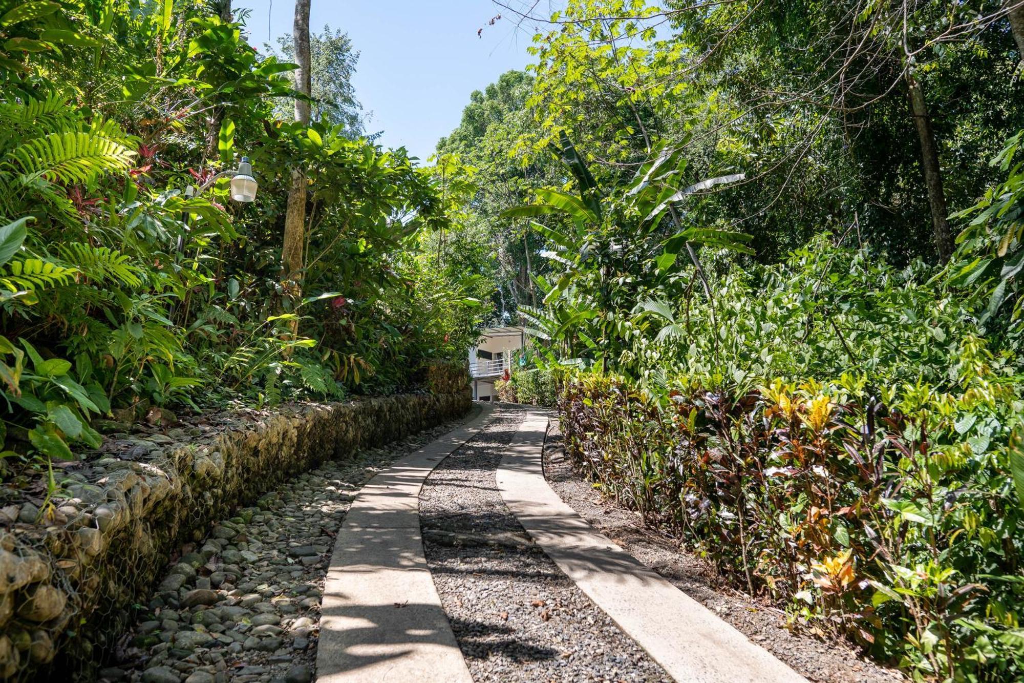 Villas En El Bosque Ойокал Екстер'єр фото