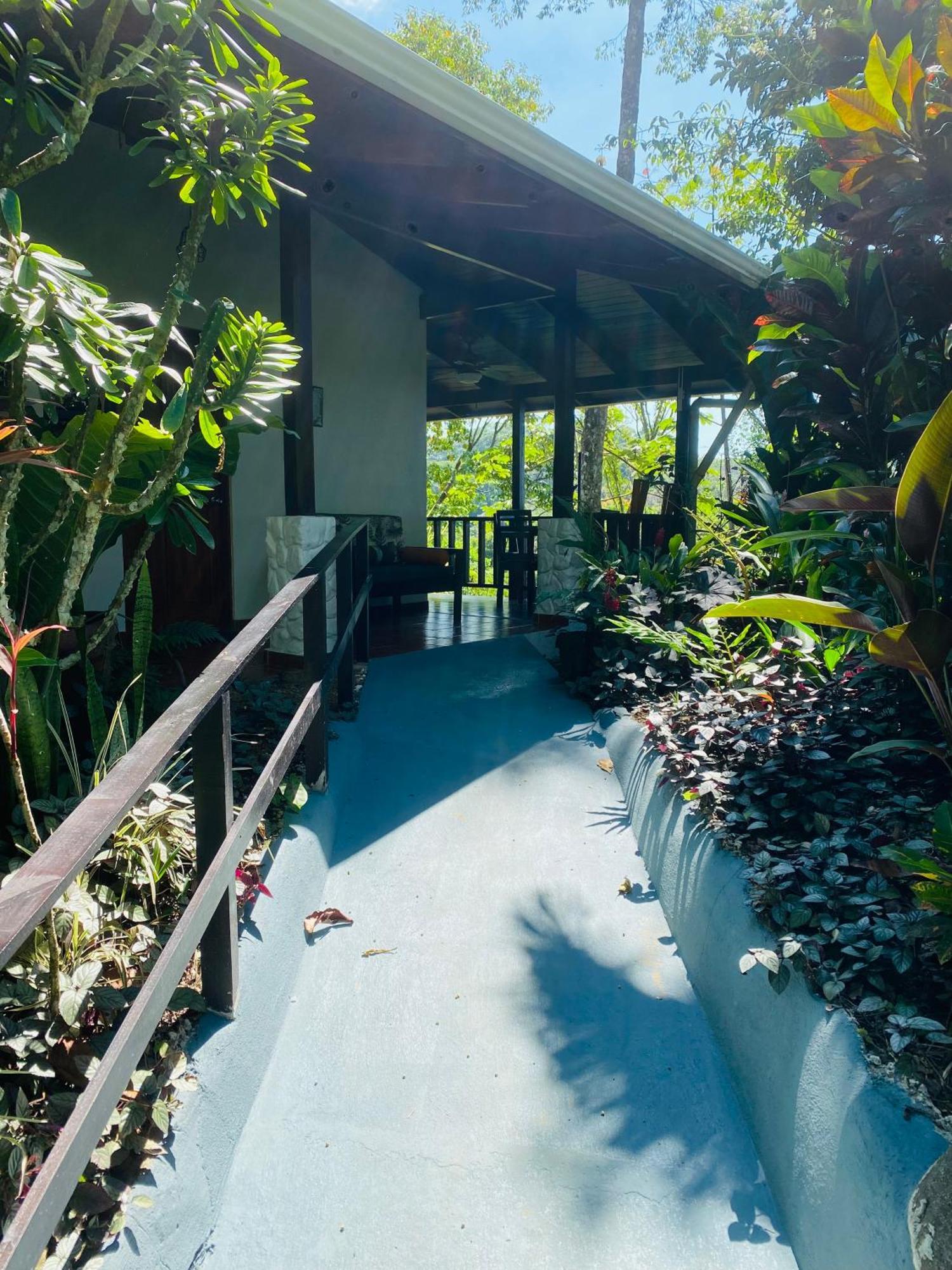 Villas En El Bosque Ойокал Екстер'єр фото