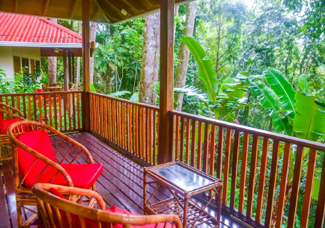 Villas En El Bosque Ойокал Екстер'єр фото