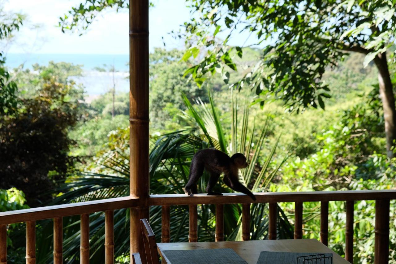Villas En El Bosque Ойокал Екстер'єр фото